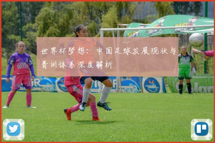 世界杯梦想：中国足球发展现状与青训体系深度解析