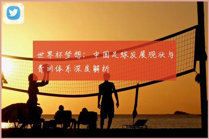 世界杯梦想：中国足球发展现状与青训体系深度解析